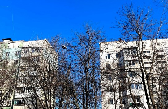 {Может ли жилье подешеветь в этом году? } Молдавские Ведомости