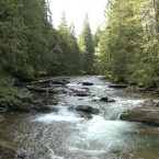 Мы могли бы получать воду из Румынии, если бы не наши бюрократы и коррупционеры