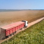 Эксперт: перевозка одной фуры зерна подорожала до 7500 лей