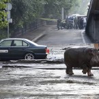 Тбилиси затопило в результате аномального ливня