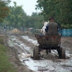 Региональные ведомости