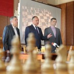 Федерация шахмат поддерживает президента, парламент и правительство 