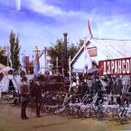 Кишинев Ликэ Саинчука – таким город вы никогда не видели
