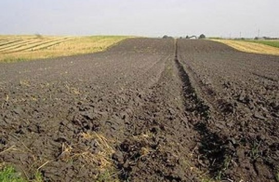 {Что американские консорциумы забыли на Украине } Молдавские Ведомости