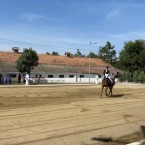 Чемпионат по конному спорту на кубок Штефана чел Маре впервые проходит в Кишиневе